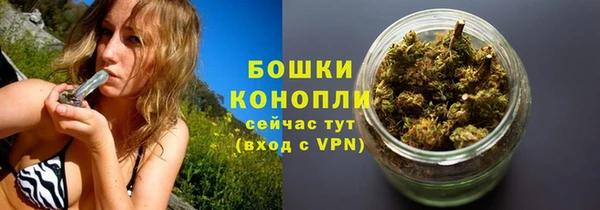 стафф Краснослободск