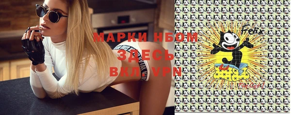 стафф Краснослободск