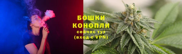 мдпв Домодедово